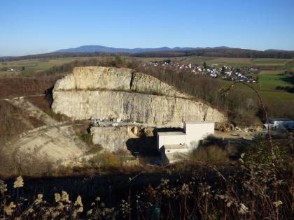 Korallenkalk-Formation, Steinbruch am Kapf, Huttingen Blick von oben auf die kesselartigen Wände eines Steinbruches. Das helle Gestein der Wand im Bildmittelpunkt steigt nach links hin an und ist oben gerundet und bewachsen. Im Hintergrund ist eine hügelige Landschaft mit Bergen und einer Siedlung erkennbar.