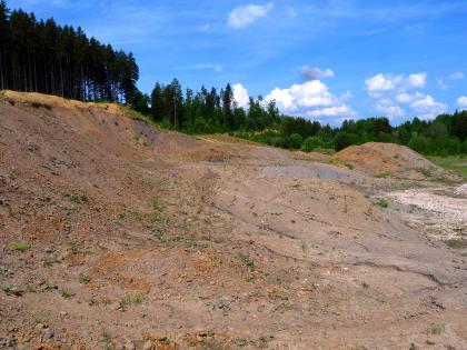 Die Tonsteine aus dem Jura eignen sich zur Herstellung grobkeramischer Produkte, als Zementrohstoff sowie als Dichtungstone. Blick auf einen rötlich braunen, flach nach rechts abfallenden Gesteinshang. Kuppe und hinterer Rand sind bewaldet. Rechts hinten ist noch ein Abraumberg zu erkennen.