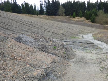 Schrägabbau der Obtususton-Formation Das Bild zeigt eine von rechts nach links zunehmende Steigung aus grauem Material mit vereinzelt gelblich-braunen Stellen. Im Hintergrund sind Bäume zu sehen.
