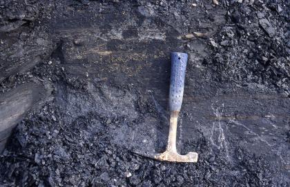 Tonsteine der Obtususton-Formation Das Bild zeigt ein dunkelgraues bis schwarzes Gestein. Im Vordergrund mittig vom Bild ist ein Geologenhammer als Maßstab plaziert.