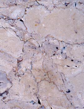 Polierter Oberjura-Massenkalk aus Neresheim Nahaufnahme einer polierten Gesteinsoberfläche, rosa bis grau, mit bräunlichen Schlieren und Rissen.