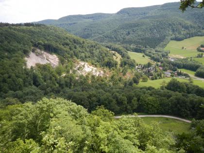 Bergrutsch bei Mössingen-Öschingen Von erhöhtem Standpunkt blickt man auf einen nach rechts geneigten, bewaldeten Hang, aus dessen Flanke ein größeres Stück abgerutscht ist. Geröll und entwurzelte Bäume sind dabei einer kleinen Siedlung unterhalb des Hanges sehr nahe gekommen.