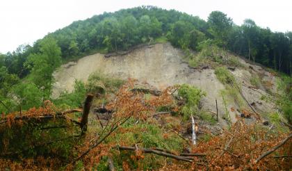 Panoramafoto des Hauptabrisses Blick auf die Abrisskante eines Bergrutsches. Am Fuß des bewaldeten Berges liegen umgestürzte Bäume.