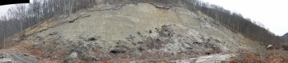 Panoramaaufnahme des Hauptabrisses Panoramabild der Abrisskante an einem bewaldeten Hang. Unterhalb der unregelmäßig verlaufenden Kante ist die Hangwand graubraun und kahl; am Fuß liegen umgestürzte Bäume und Wurzeln sowie Schutt.