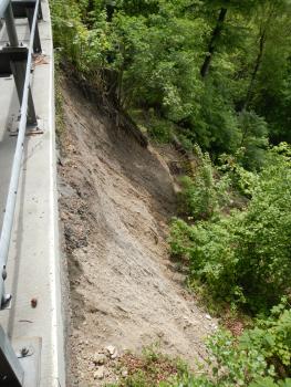Sekundäre Rutschung bei Heiligenberg (Entstehung 2015) An einem rechts einer Straße liegenden, nach unten abfallenden Hang sind deutlich Rutschspuren erkennbar (kein Bewuchs wie seitlich daneben).