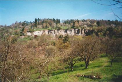 Blick auf die Abrisskante der Rutschung im Kirchsteigtobel bei Urbach Blick von erhöhtem Standpunkt auf die Abrisskante einer Rutschung. Die Kante verläuft mittig quer durchs Bild. Davor und dahinter befindet sich Wald.