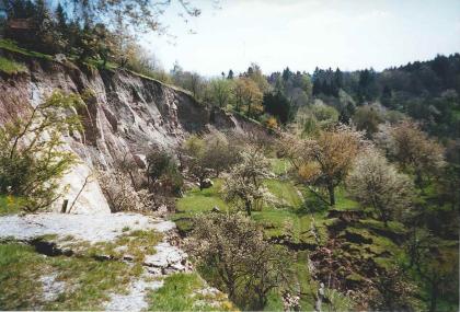Abrisskante und Rutschmassentop der Rutschung im Kirchsteigtobel bei Urbach Von vorne links nach hinten verläuft eine Felswand, welche die Abrisskante einer Rutschung darstellt. Vor der Wand befindet sich ein üppig bewachsenes Rutschmassentop. Im Hintergrund grenzt Wald an.
