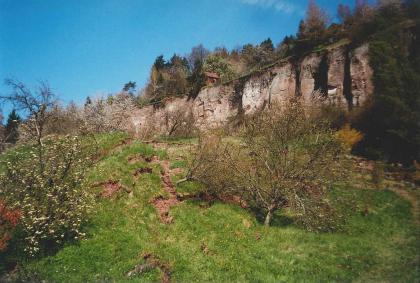 Rutschmassentop der Rutschung im Kirchsteigtobel bei Urbach Im Vordergrund des Bildes befindet sich eine mit Büschen bewachsene Wiese, im Hintergrund rechts bis mittig verläuft eine Felswand aus hellrötlichem Gestein, welche oben mit Bäumen bewachsen ist.