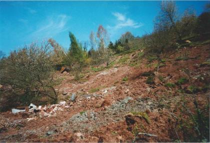 Rutschmasse im unteren Bereich der Rutschung im Kirchsteigtobel bei Urbach Das Bild zeigt einen nach links abfallenden Hang, welcher mit Geröll und rötlicher Erde bedeckt ist. Vereinzelt befinden sich auf dem Hang schräg gekippte Bäume und Büsche.
