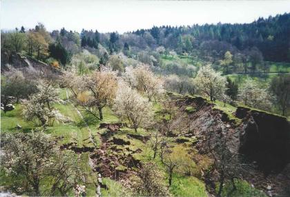 Nackental im obersten Bereich der Rutschung im Kirchsteigtobel bei Urbach Das Bild zeigt eine unebene, üppig bewachsene Fläche mit vereinzelten Felsaufschlüssen. Im Hintergrund grenzt Wald an.