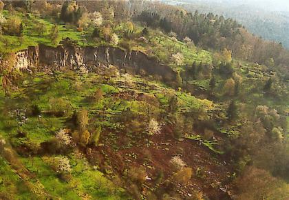 Überblick der Rutschung im Kirchsteigtobel bei Urbach Blick aus der Luft auf eine Rutschung, welche halbkreisförmig aus dem Hang ausgebrochen ist. Der Hang ist üppig bewachsen.