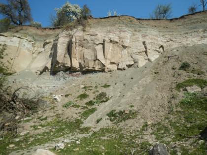 Abrisskante der Rutschung am Kirchsteigtobel Das Bild zeigt die Abrisskante einer Rutschung. Die Kante ist durch eine steile, aus blockigem, hellem Gestein bestehende Felswand, welche quer durchs Bild berläuft, charakterisiert. Vor der Felswand befindet sich eine teilweise bewachsene Geröllhalde.