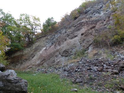 Aufgelassener Steinbruch am Büchsenberg, Vogtsburg im Kaiserstuhl – Wechselfolge von Tephrit‑Tuffen, ‑Lavaströmen und ‑Schlackenagglomeraten Seitlicher Blick auf einen stark nach links abfallenden Steinbruchhang mit grauer bis bräunlicher Oberfläche. Rechts unten, im Vordergrund, liegen lose Bruchstücke. Am Hangende links unten stehen Bäume.