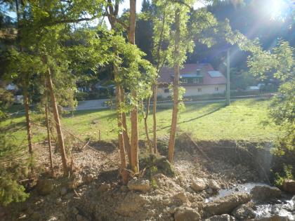 Blick von der Eschach in Richtung bayerische Seite Der Blick richtet sich auf eine Reihe von Bäumen, die ein Gewässer säumen. Dahinter liegen eine Wiese, eine Straße und einige Häuser. Rund um die Bäume liegen einige kleinere Steinblöcke und Schotter, die Wiese zeigt in Gewässernähe einige Schäden.