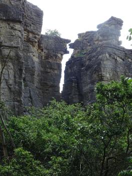 Wand der Hessigheimer Felsengärten mit aufliegenden absturzgefährdeten Kalksteinbänken Blick auf zwei Felsentürme, die über Baumkronen hinausragen. Im Gegenlicht der Aufnahme wirken die Felsen dunkelgrau. Zwischen ihnen klafft ein senkrechter, gezackter Riss.