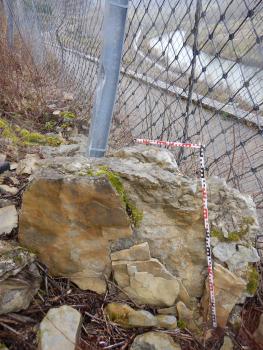 Block im Netz des bergseitig des Wurmbergweges verlaufenden Steinschlagschutzzaunes Blick auf einen größeren, teils zerbrochenen Steinbrocken. Der Stein liegt vor einem Schutzzaun. Durch dessen Maschen sieht man eine Straße sowie einen tiefer gelegenen Flusslauf.