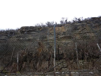 Bereich des 2021 erfolgten Felssturzes Aufwärts gerichteter Blick auf einen felsigen Hang. Im Vordergrund ist ein Schutzzaun zur Sicherung des Hanges aufgestellt. Oberhalb der Bildmitte ist ein Felssturz zu erkennen.
