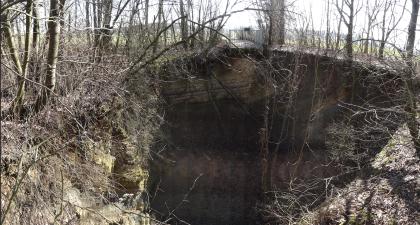 Neues Eisinger Loch Der Blick richtet sich auf ein großes Loch im Boden, welches von Bäumen umgeben ist. Auf der gegenüberliegenden Seite ist eine kleine Aussichtsplattform am Rand des Loches zu erkennen.