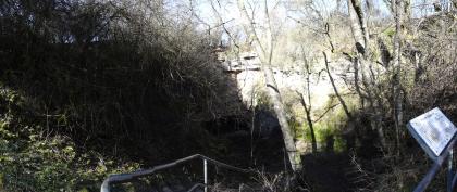 Altes Eisinger Loch Der Blick richtet sich auf eine Senke, hinter der eine Felswand aufragt. Eine Treppe führt in die Senke. Umgeben ist sie von einigen Bäumen.