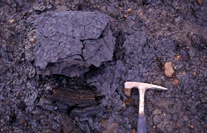 Pyrit sorgt für die dunkelgraue Farbe des Tonsteins. Pyrit sorgt für die dunkelgraue Farbe des Tonsteins.