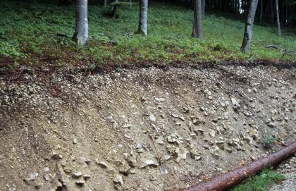 Hangschutt am Traufhang der Baaralb („Stiertäle“ bei Immendingen-Talhof) Das Bild zeigt die kahle Abbruchkante eines bewaldeten Hanges mit teils feinem, teils grobem Gesteinsschotter.