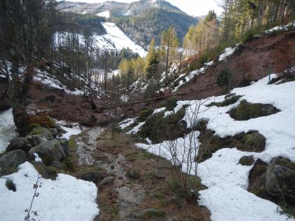 Auf etwa 990 m ü. NHN gelangte das mobilisierte Material einer Hangmure in den stark angeschwollenen Oberen Großbach und erzeugte einen Murgang Von oben schaut man einen bewaldeten Hang hinunter, der durch ein Bachbett eingeschnitten ist. Am rechten Bildrand ist eine Hangmure zu sehen. Schlamm, Gesteinsbrocken und ein mitgerissener Baum befinden sich im und um den Bach.