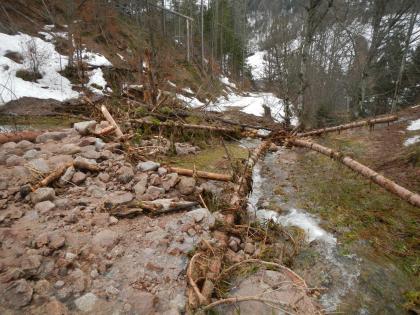 Verklausung auf etwa 950 m ü. NHN, wenige Höhenmeter oberhalb der Wirtschaftswegüberfahrt Man schaut talabwärts von einem bewaldeten Hang auf einen Wirtschaftsweg. Im Vordergrund sieht man einen Haufen Steine und Geröll. Mehrere dünne Baumstämme und Äste liegen angehäuft dahinter. Wasser fließt an den Steinen und Stämmen vorbei ins Tal.