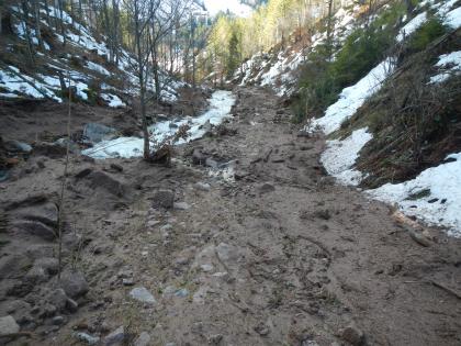 Fracht entlang des Oberen Großbachs auf etwa 880 m ü. NHN Entlang eines Baches, welcher einen bewaldeten Hang hinabfließt, bedecken größere Mengen Schlamm und Steine den Boden.