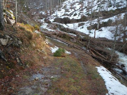 Verklausung aus Totholz und Geröll sowie die zerstörte Wirtschaftswegüberfahrt am Oberen Großbach Blick auf einen Waldwirtschaftsweg. Im Hintergrund ein bewaldeter Hang, an dem ein Bach herunterfließt. Am Bach entlang findet sich Geröll und Holz, im Vordergrund haben sich mehrere Baumstämme verkeilt und versperren den Weg.