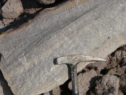 Sandstein „Fleins“ aus Gschwend Nahaufnahme einer schräg liegenden, hellgrauen Gesteinsplatte. Links oben ist die Kante wellenförmig gerundet. Rechts zeigt der Kopf eines Hammers die Größe an.