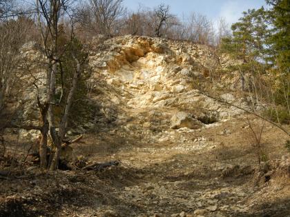 Felswand mit Ausbruchnische Man blickt von unten hoch auf eine steile Felswand aus hellbraunem bis gelblichem Gestein. Oberhalb der Felswand wachsen Laubbäume. Rechts und links sind im Vordergrund ebenfalls Bäume zu sehen. Am Boden vor der Felswand liegt Lockermaterial.