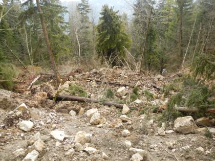 Rutschmasse im Unterhang Man blickt einen bewaldeten Hang hinunter. Im Vordergrund türmen sich am Hang große und kleine Steinblöcke, mitgerissene Bäume und Totholz, Zweige und weiteres Material.