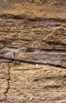 Der  Randengrobkalk (unten) wird überlagert von einem geringmächtigen Kalksandstein. Der  Randengrobkalk (unten) wird überlagert von einem geringmächtigen Kalksandstein.