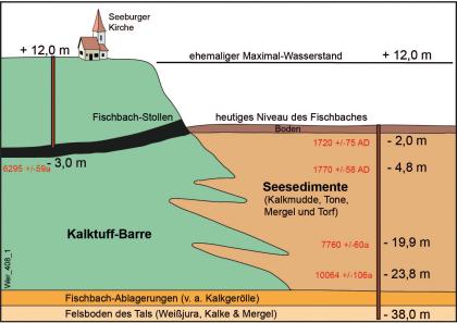 Schematischer Querschnitt durch den Grenzbereich „Kalktuffbarre/Seebecken“ Gezeichneter, mehrfarbiger Querschnitt durch den Grenzbereich Kalktuffbarre und Seebecken mit Bohrung bei Seeburg.