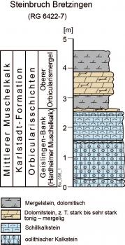 Profil des Steinbruchs Bretzingen Säulenprofil des Steinbruches Bretzingen, mit farbig dargestellten Schichten von Mergel-, Dolomit- und Kalksteinen.