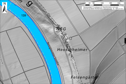 Ausschnitt aus einer mehrfarbigen digitalen Karte. Rechts und oberhalb einer Flussbiegung sind die Hessigheimer Felsengärten modellhaft dargestellt.
