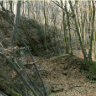 Rechts: Flacher, lichter Laubwald. Mittig: einige schräge Bäume. Links: An die ebene Fläche schließt sich ein steiler Hang an.