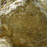 Nahaufnahme von pyramidenförmig aufgeschichtetem Gestein, mittelbraun, mit weißlichen Kanten. Im Gestein sind hellere Austernschalen zu erkennen.