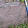 Nahaufnahme eines rötlich grauen Gesteinsbrockens mit hellerem Streifen oben links. Rechts lässt der Stiel eines Hammers die Größe ahnen.