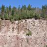 Blick auf eine rötlich graue, hohe und lange Abbauwand in einem Steinbruch. Die wellige Kuppe ist bewaldet.