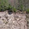 Teilansicht einer Steinbruchwand unter Wald. Unter der Bodenauflage verläuft ein waagrechter, rötlich weißer Streifen. Weiter abwärts ist das Gestein schräg geschichtet.