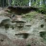 Blick auf eine leicht gerundete, glatte graue Gesteinswand unter Wald. Im Gestein sind mehrere verschieden große Höhlungen und Nischen erkennbar, die größte am oberen Bildrand unterhalb der Kuppe.