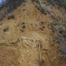 Das Bild zeigt die Abbauwand einer Lehmgrube. Das rötlich braune Bodenmaterial ist rechts und im oberen Teil bewachsen. Ein angelehnter Spaten verweist auf die Höhe der Grubenwand.