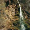 Das Bild zeigt einen kleinen, schmalen Wasserfall an einer offenen Stelle eines bewaldeten Hanges. Die vom Wasser umspülten Bereiche sind grün bemoost, die übrigen hellbraun oder dunkelbraun.