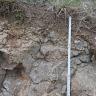 Teilansicht eines etwa sechzig Zentimeter tiefen Profils mit dunkelgrauem, splittrigem Gestein. Oben liegt nur eine dünne Bodendecke mit Grasbewuchs auf.