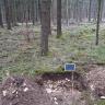 Das Foto zeigt ein Bodenprofil unter Wald. Es handelt sich um ein Musterprofil des LGRB. Das Profil ist etwa 50 cm tief.