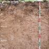 Das Foto zeigt ein Bodenprofil des LGRB unter Wald. Das in fünf Horizonte gegliederte, rötlich braune Profil hat eine Tiefe von 1,40 m. Rechts oben zeigt eine Tafel den Namen und die Nummer des Profils an.