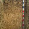 Das Foto zeigt ein Bodenprofil. Es handelt sich um ein Musterprofil des LGRB. Das Bodenprofil ist über 1,50 m tief.