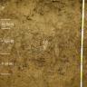 Das Foto zeigt ein Bodenprofil des LGRB unter Wald. Das in sechs Horizonte gegliederte, grünlich bis gelblich braune Profil hat eine Tiefe von 1,25 m. Rechts oben zeigt eine Tafel den Namen und die Nummer des Profils an.