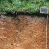 Blick auf ein Musterprofil des LGRB unter Wald. Die sichtbare Profilwand ist oben rötlich grau, unten rötlich braun, in sieben Bodenhorizonte eingeteilt und 160 Zentimeter tief. Rechts oben nennt eine Tafel Nummer und Namen des Profils.
